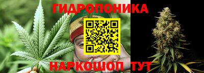 молекула духа Кулебаки