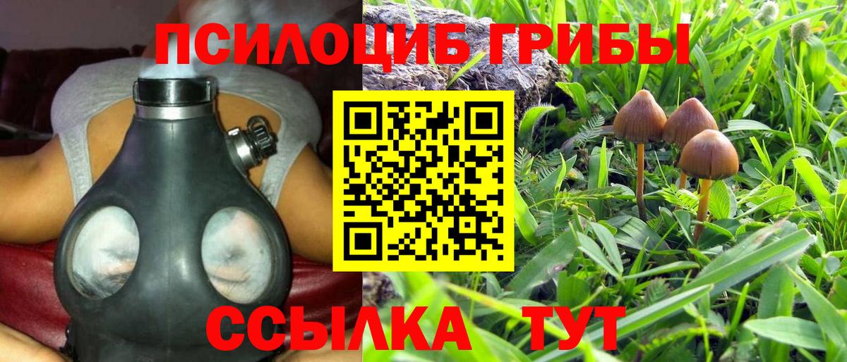 Псилоцибиновые грибы прущие грибы Егорьевск