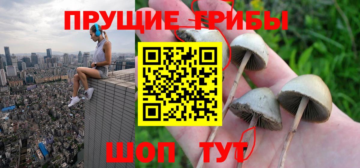 Галлюциногенные грибы мухоморы  наркошоп  Егорьевск  Галлюциногенные грибы Cubensis  Вход с VPN 